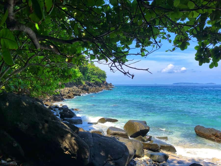 From Phuket: Coral Island Private Longtail Boat Tour - Meeting point and timing tips