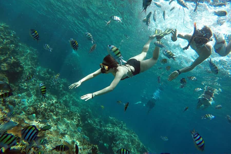 From Phuket: Phi Phi Island Private Full-Day Speedboat Trip - Viking Cave gives you a quick Phi Phi Lae landmark