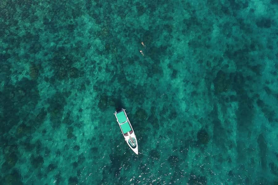From Phuket: Phi Phi Island Private Full-Day Speedboat Trip - Monkey Beach and Nui Bay add more than postcard views