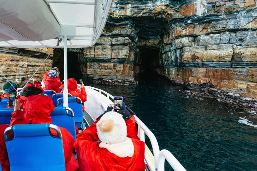 From Port Arthur: Tasman Island Wilderness Cruise - Key points before you book