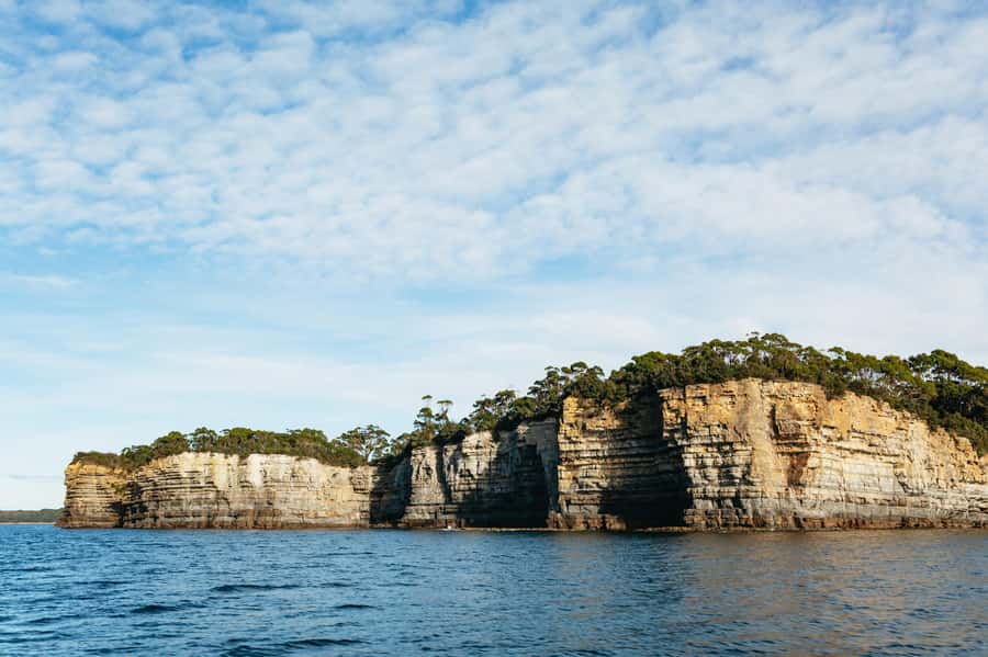 From Port Arthur: Tasman Island Wilderness Cruise - Who should book this cruise?