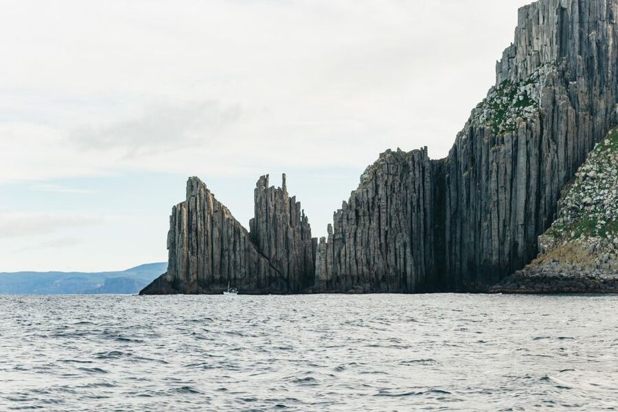 From Port Arthur: Tasman Island Wilderness Cruise - Seals, dolphins, seabirds, and seasonal whales