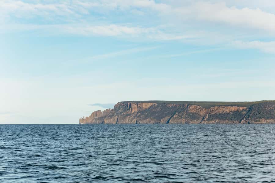 From Port Arthur: Tasman Island Wilderness Cruise - What the ride really feels like