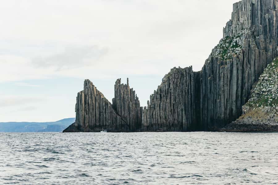 From Port Arthur: Tasman Island Wilderness Cruise - The crew and the value of the commentary