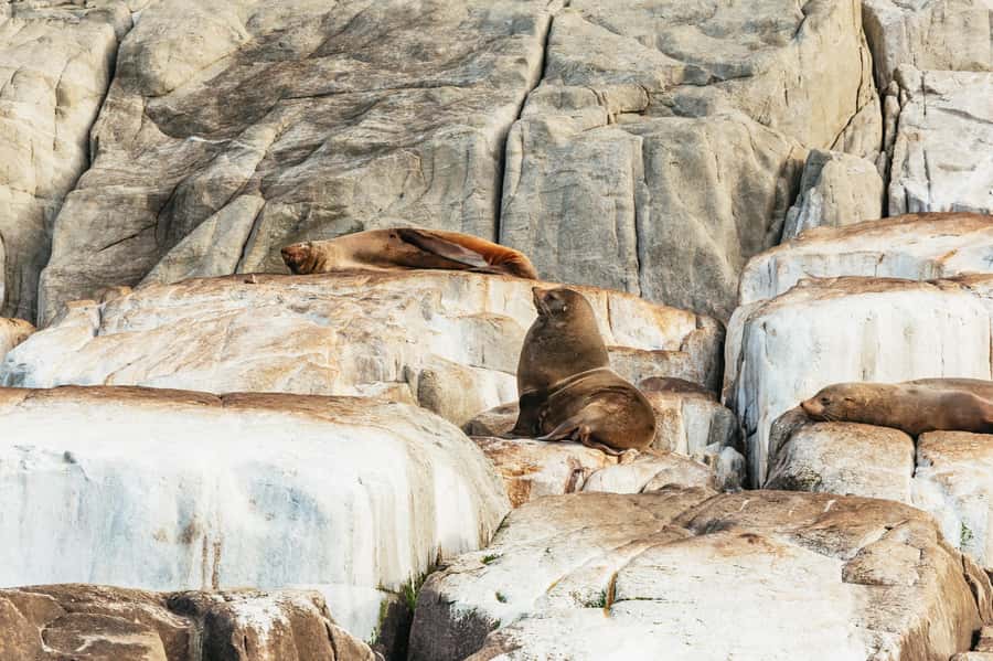 From Port Arthur: Tasman Island Wilderness Cruise - The check-in and transfer to the boat