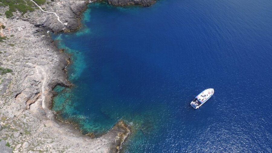 From Porto Ercole: Giannutri Island Snorkeling Boat Trip - What the guides add to the experience