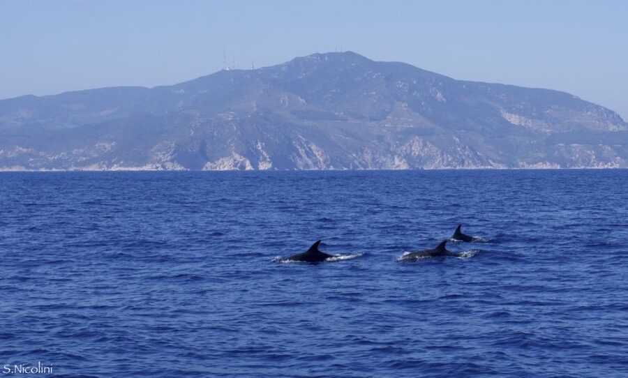 From Porto Ercole: Giannutri Island Snorkeling Boat Trip - Who should book this boat trip?