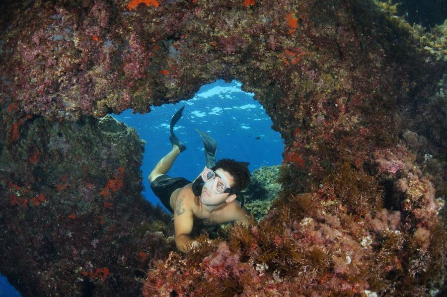 From Porto Ercole: Giannutri Island Snorkeling Boat Trip - Practical details that can make or break the day