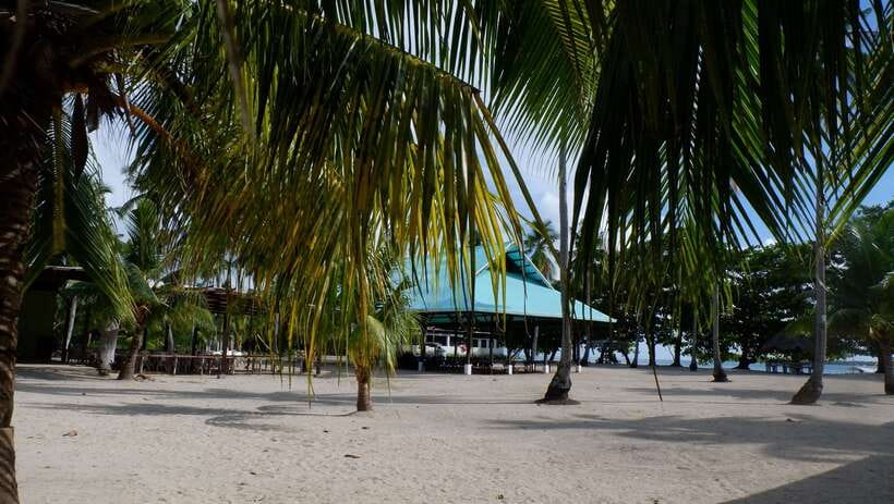 From Puerto Princesa: Honda Bay Island Hopping Full-Day Tour - Swimming, snorkeling, and marine life