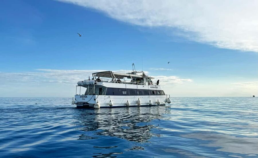From Pula: Rovinj & NP Brijuni cruise with Red Island visit - Seeing Rovinj from the water