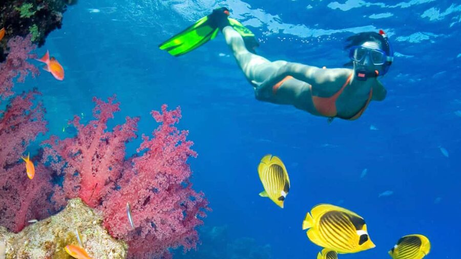 From Punta Cana: Catalina Island Swim, Sail & Snorkel - The route to the island can be part river cruise, part sea crossing