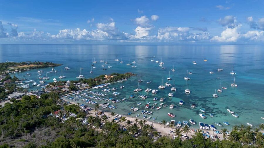 From Punta Cana: Catalina Island Swim, Sail & Snorkel - Snorkeling at the Coral Reef Wall