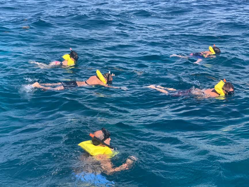 From Punta Cana: Catalina Island Swim, Sail & Snorkel - Four hours of beach time on Catalina Island