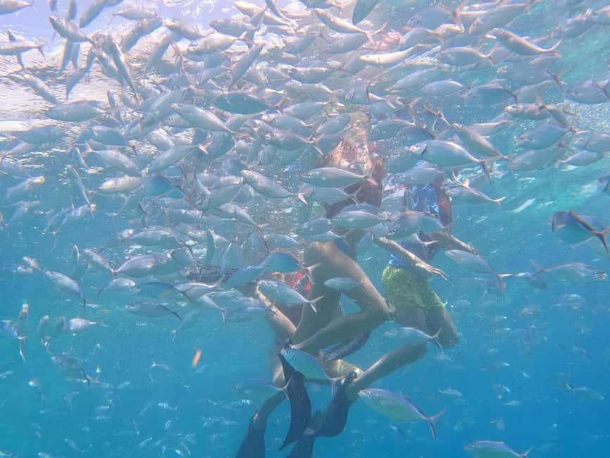 From Punta Cana: Catalina Island Swim, Sail & Snorkel - What the price includes, and where it may fall short