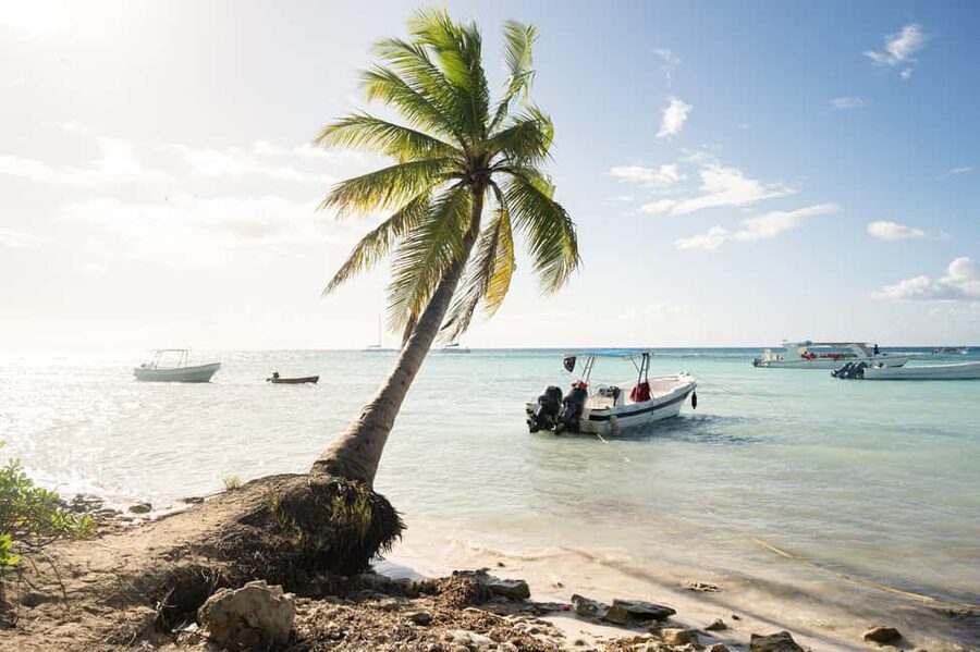 From Punta Cana: Catamaran Tour to Saona Island with Open Bar and Buffet - Why Saona Island makes this a popular Punta Cana day trip