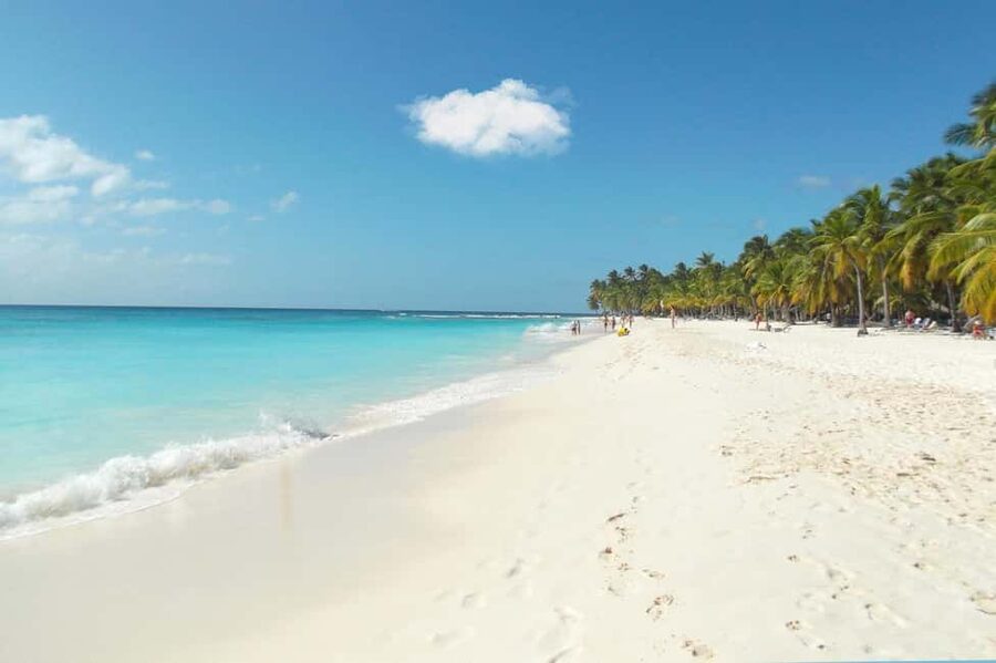 From Punta Cana: Catamaran Tour to Saona Island with Open Bar and Buffet - Who will get the most from this excursion?