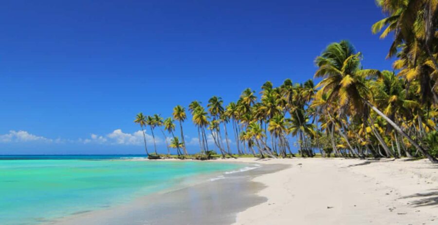 From Punta Cana: Saona Island Boat Trip with Buffet - The boat ride: choose your pace carefully