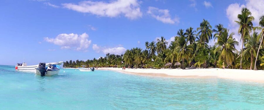 From Punta Cana: Saona Island Catamaran and Speedboat … - Saona Island beach time