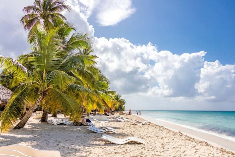 From Punta Cana: Saona Island Cruise with Private Beach - Should you book the Saona Island cruise?
