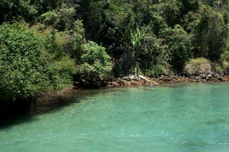 From Rio: Full-Day Angra dos Reis Cruise & Island Tour - Who will enjoy this cruise most