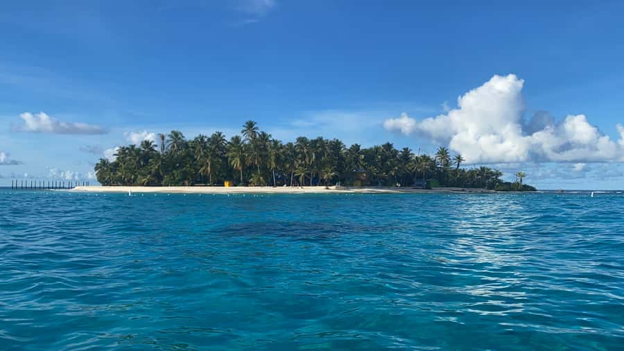 From San Andrés: Speedboat Tour to Johnny Cay Island - Key points to know before you book