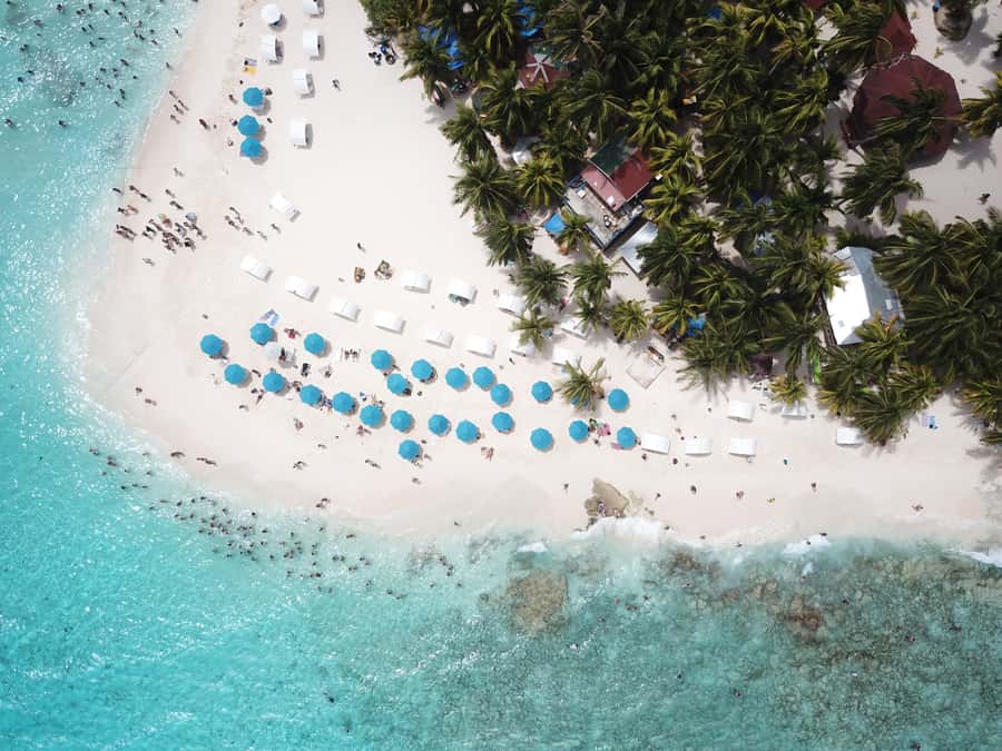 From San Andrés: Speedboat Tour to Johnny Cay Island - What Johnny Cay gives you in one short outing