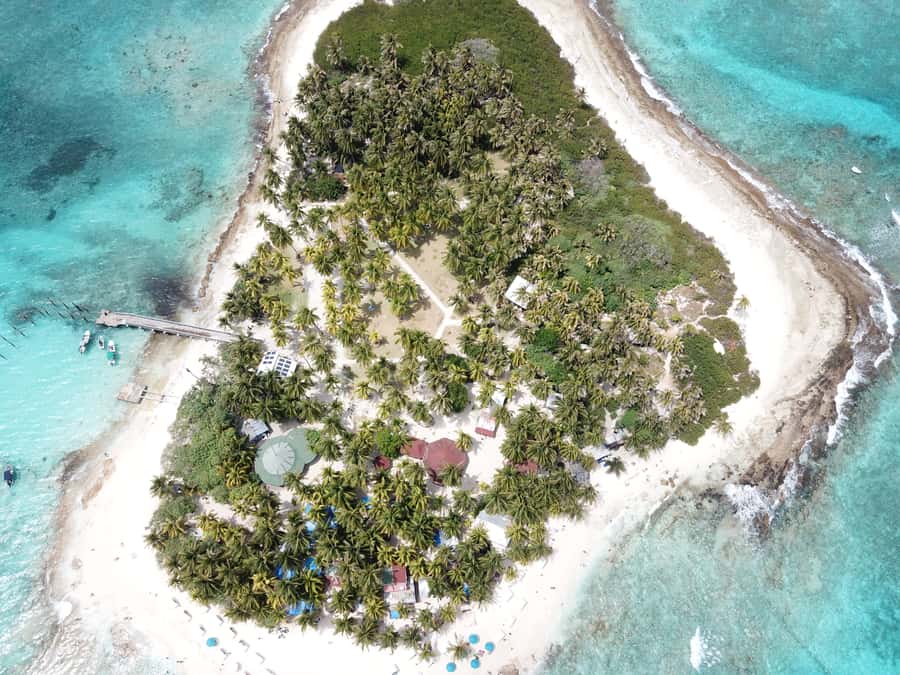 From San Andrés: Speedboat Tour to Johnny Cay Island - Who will enjoy this Johnny Cay trip?
