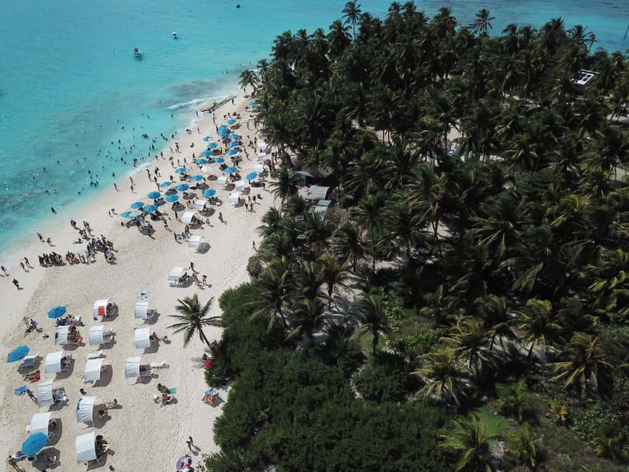 From San Andrés: Speedboat Tour to Johnny Cay Island - Starting at Avenida Newball