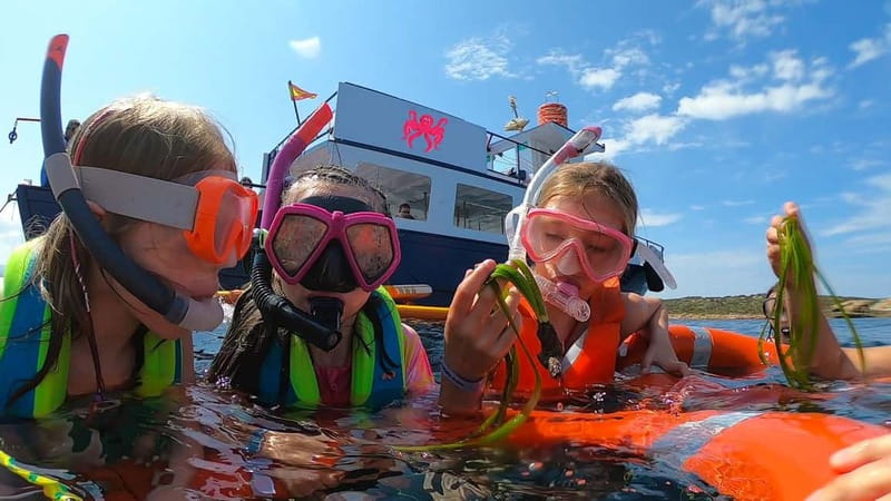 From San Antonio: Family Boat Tour to Conillera Island - Learning what lives beneath Ibiza’s water
