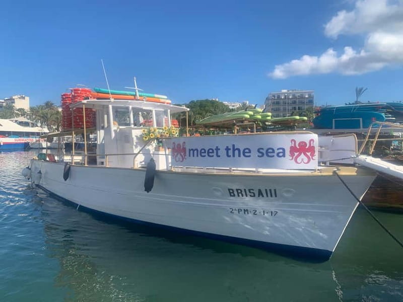 From San Antonio: Family Boat Tour to Conillera Island - What the four-hour schedule feels like