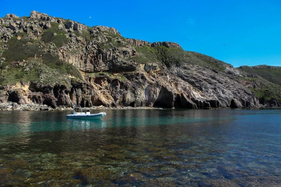 From Sant'Antioco: San Pietro Island or Masua Boat Tour - The skipper and the style of guiding