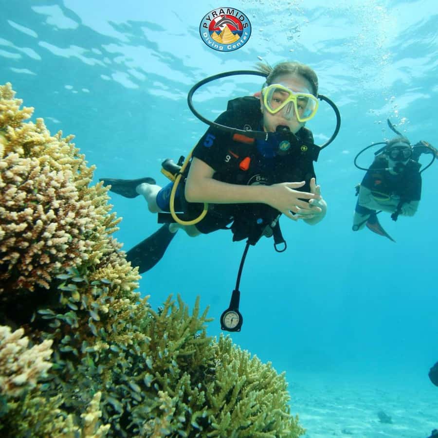 From Sharm El-Sheikh: Ras Mohamed & white island Boat Trip - Ras Mohamed National Park and its coral reefs