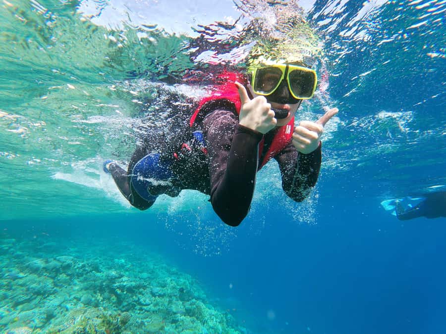 From Sharm El-Sheikh: Ras Mohamed & white island Boat Trip - Who will enjoy this day most