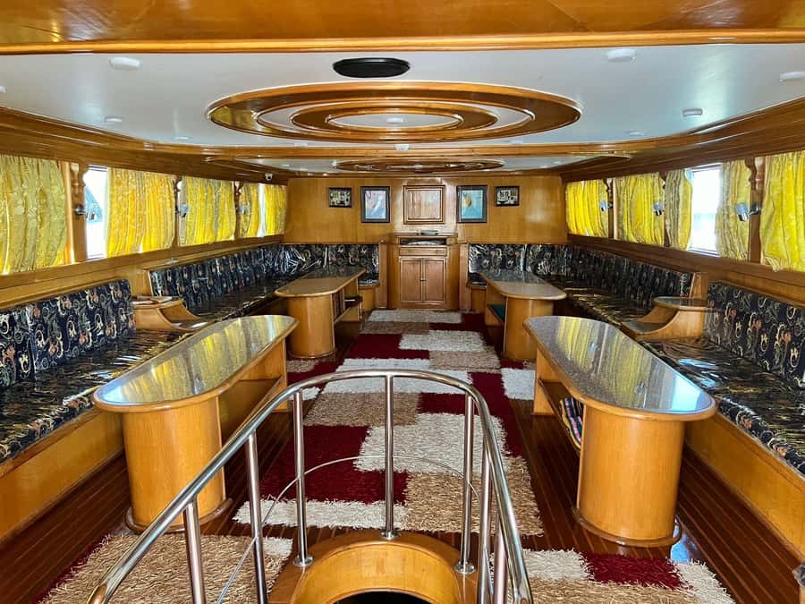 From Sharm: Ras Mohammed Cruise with Island Visit and Lunch - Ras Mohamed reefs and what you may see