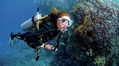 From Sharm: Ras Muhammed & White Island By Boat & intro Dive