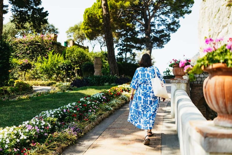 From Sorrento/Nerano: Capri Island Cruise with Guide Onboard - Who should book this experience