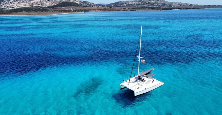 From Stintino: Catamaran tour to Asinara Island - Who will enjoy this boat day most