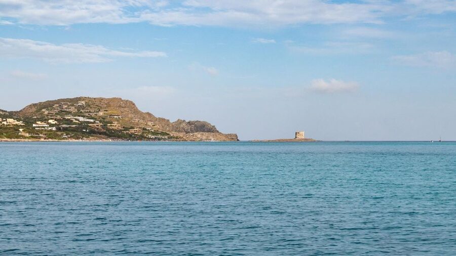 From Stintino: Catamaran tour to Asinara Island - Lunch with Sardinian food on board