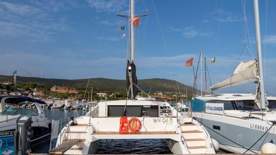 From Stintino: Catamaran tour to Asinara Island - The Wild Cat catamaran and comfort onboard