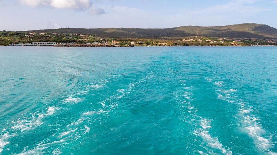 From Stintino: Catamaran tour to Asinara Island - Why July and August require extra care