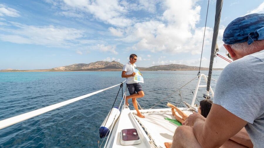 From Stintino: Catamaran tour to Asinara Island - What the $134.81 price includes