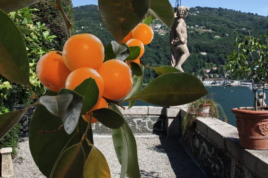 From Stresa: 3 Borromean Islands Private Boat Tour - Isola dei Pescatori, the island for lunch