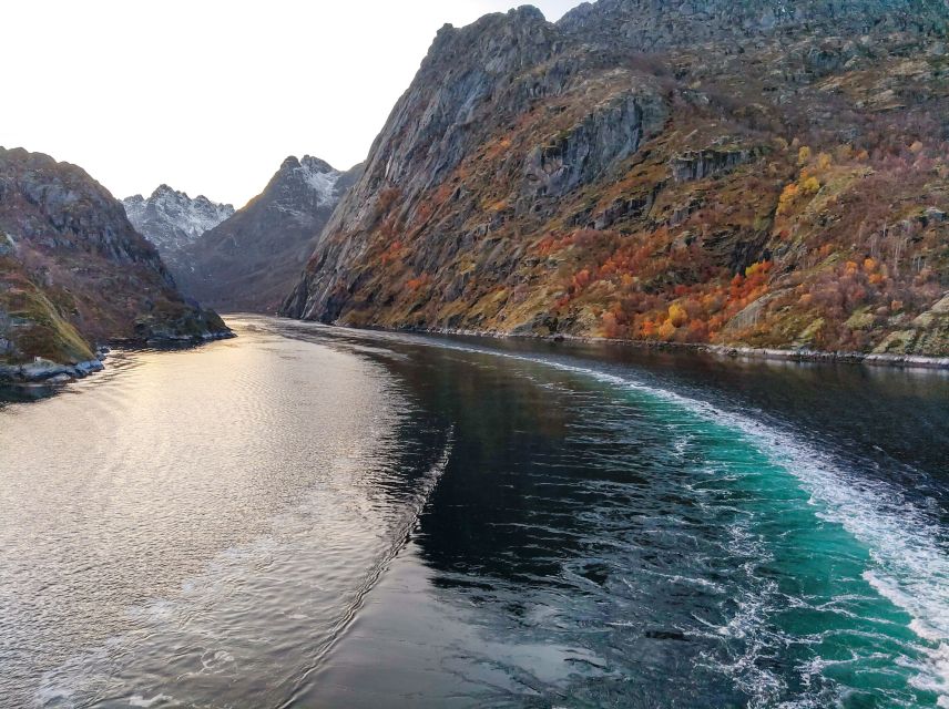 From Svolvær: Lofoten Islands Silent Trollfjord Cruise - What makes this cruise worth your time