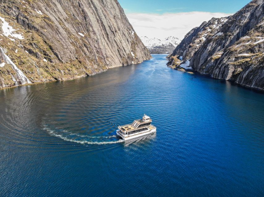 From Svolvær: Lofoten Islands Silent Trollfjord Cruise - What $140 means in practical value