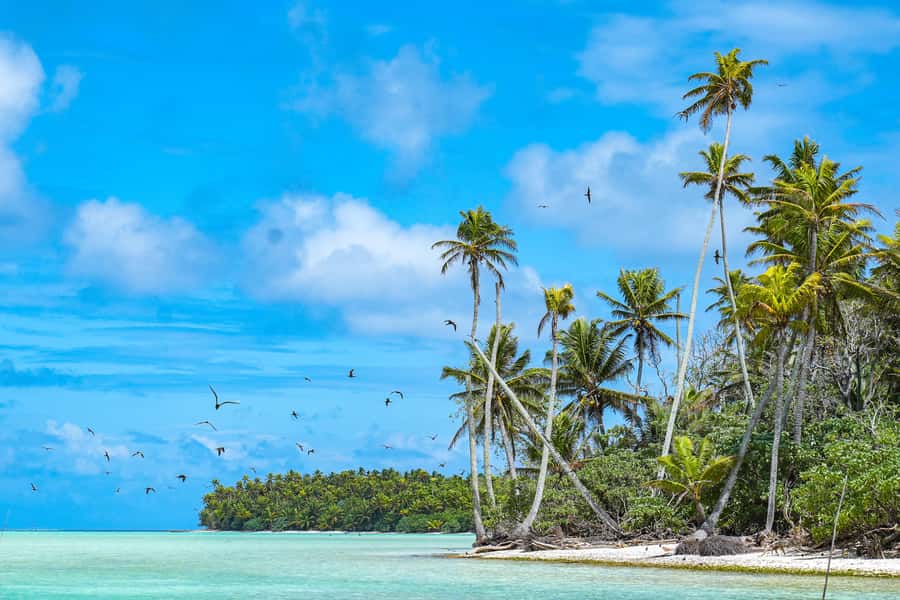 From Tahiti: Tetiaroa Island Tour by Sailing Catamaran - Why Tetiaroa makes this day trip special