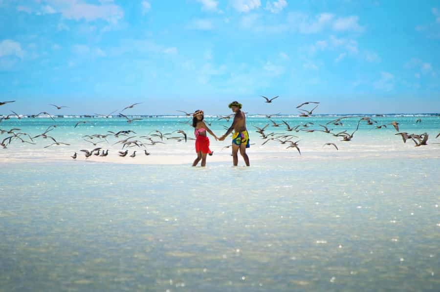 From Tahiti: Tetiaroa Island Tour by Sailing Catamaran - The return trip to Tahiti
