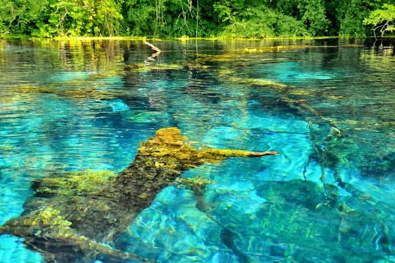 From Tirana: Saranda Blue Eye, Ksamil Islands with Boat Tour - Who will get the most from this excursion