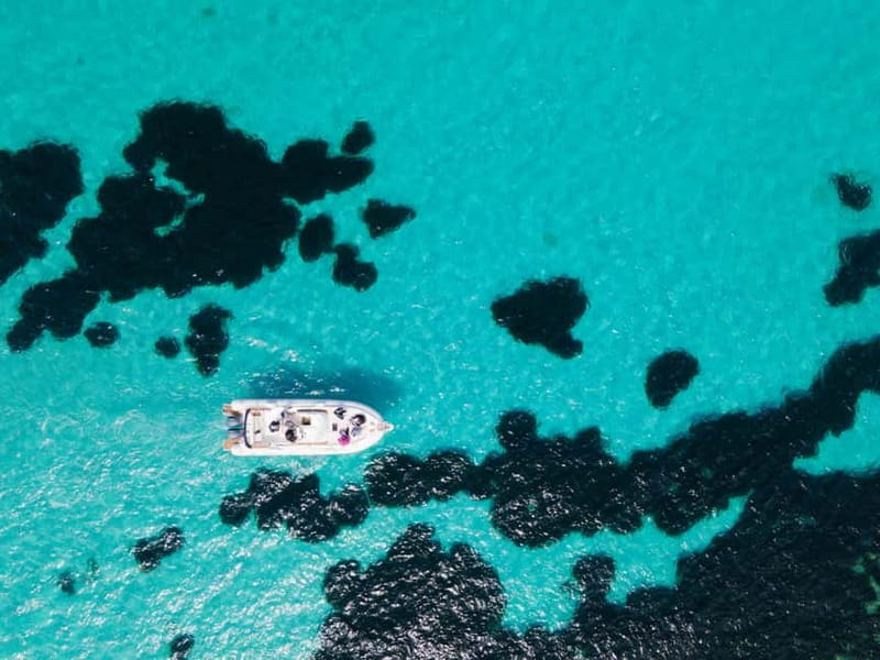 From Trapani: Egadi Islands Favignana & Levanzo Cruise - Cala Azzurra starts the swimming day