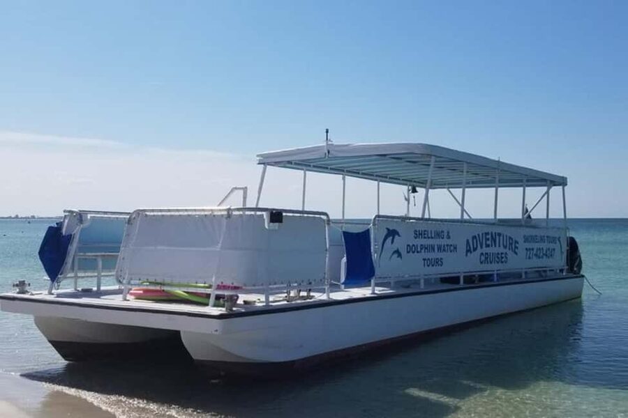 From Treasure Island: Dolphin Watching and Shelling Cruise - Should you book the Shell Island cruise?