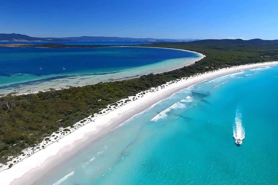 From Triabunna: Maria Island Cruise & Guided Walk with Lunch - Starting early in Triabunna